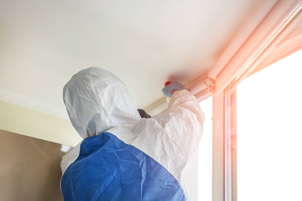 Why You Should Choose Our Mold Remediation Services in Laguna Park, TX